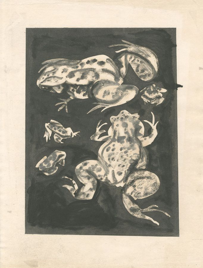 Sekino Junichiro"Frogs"