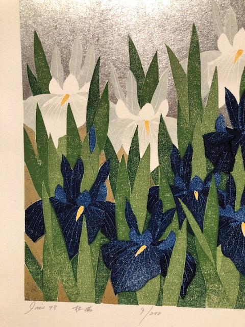 NAMIKI HAJIME "Iris laevigata"