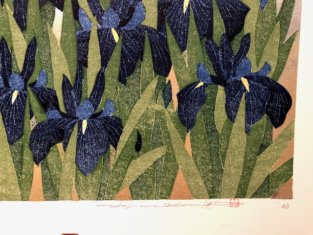 NAMIKI HAJIME "Iris laevigata"