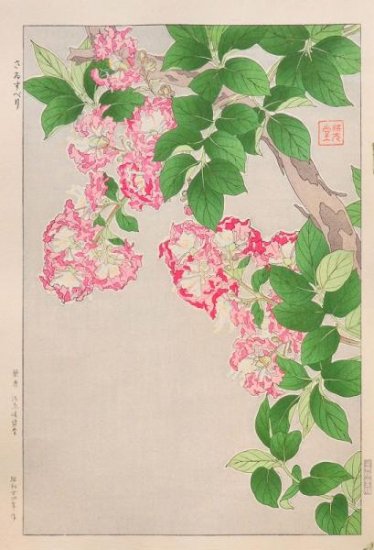 Kawarazaki Shodo "Crape Myrtle"