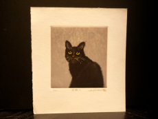 Hiroto Norikane "Black Cat-11"