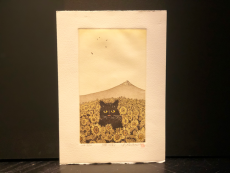 Hiroto Norikane "Black Cat-17 (Summer)"