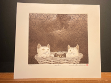 Hiroto Norikane "Curiosity"