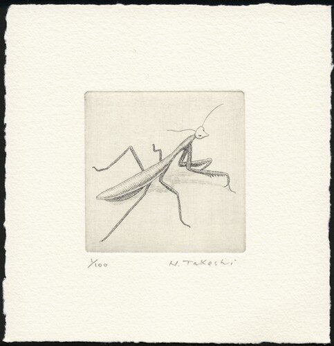 NAKAI TAKESHI “Kamakiri B”