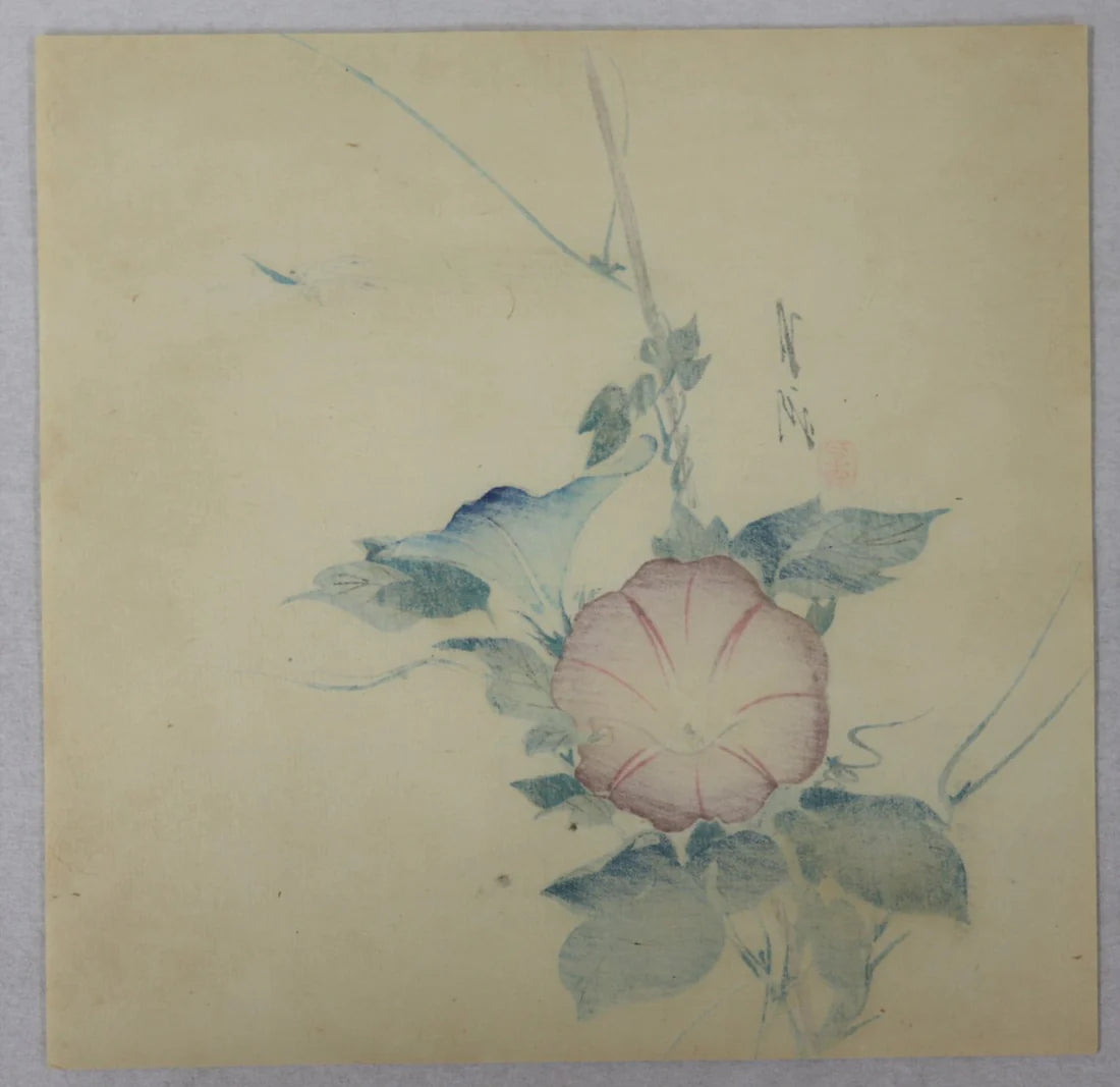 Gekko "Morning glory and Dragonfly"