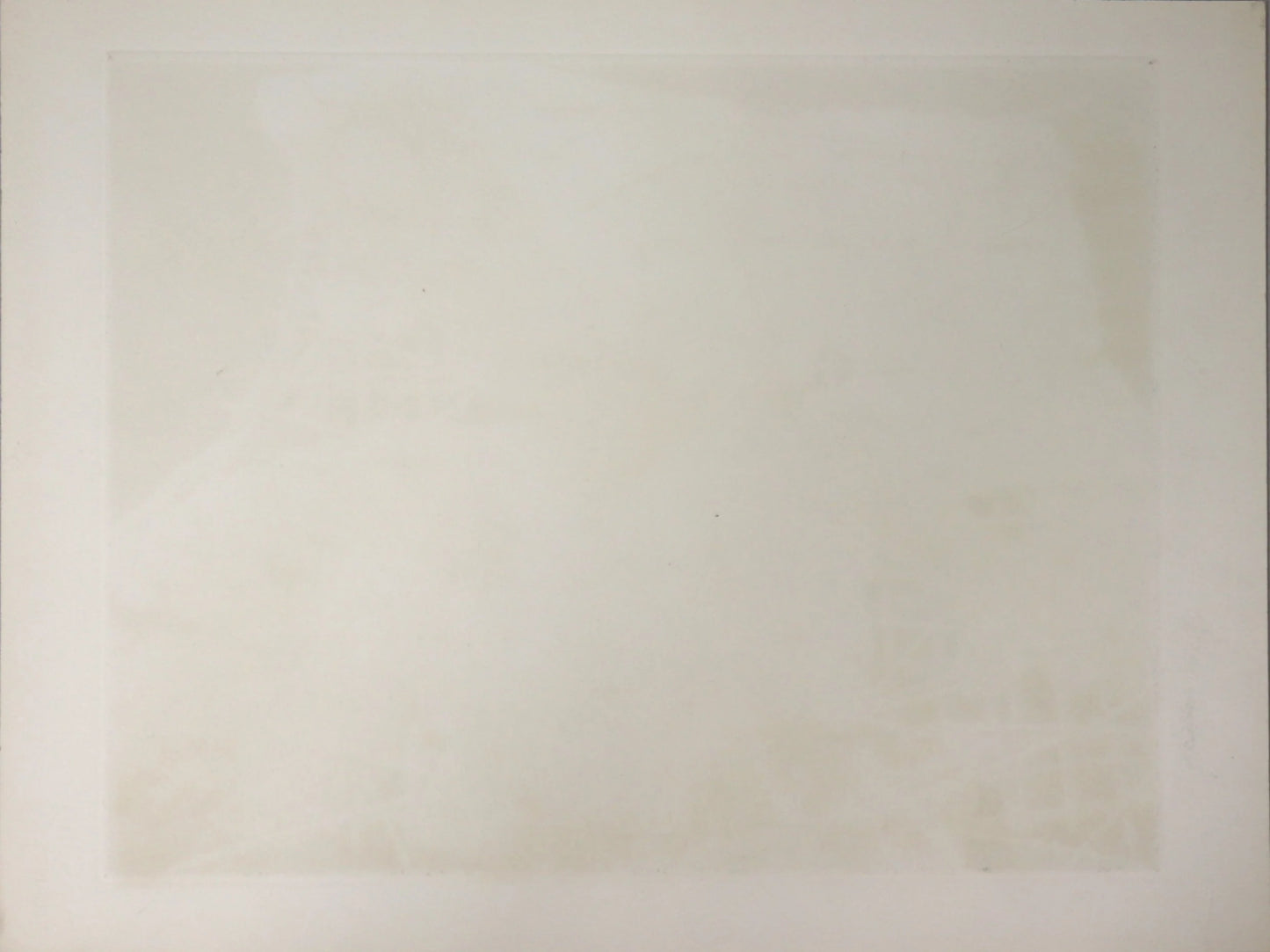 TANAKA RYOHEI "Ruined Farm House #5"