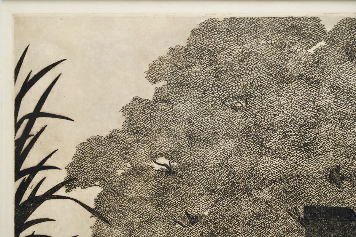 TANAKA RYOHEI "Old house under the trees"