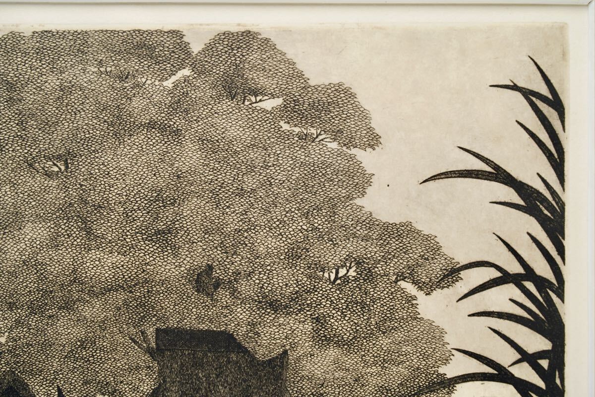 TANAKA RYOHEI "Old house under the trees"