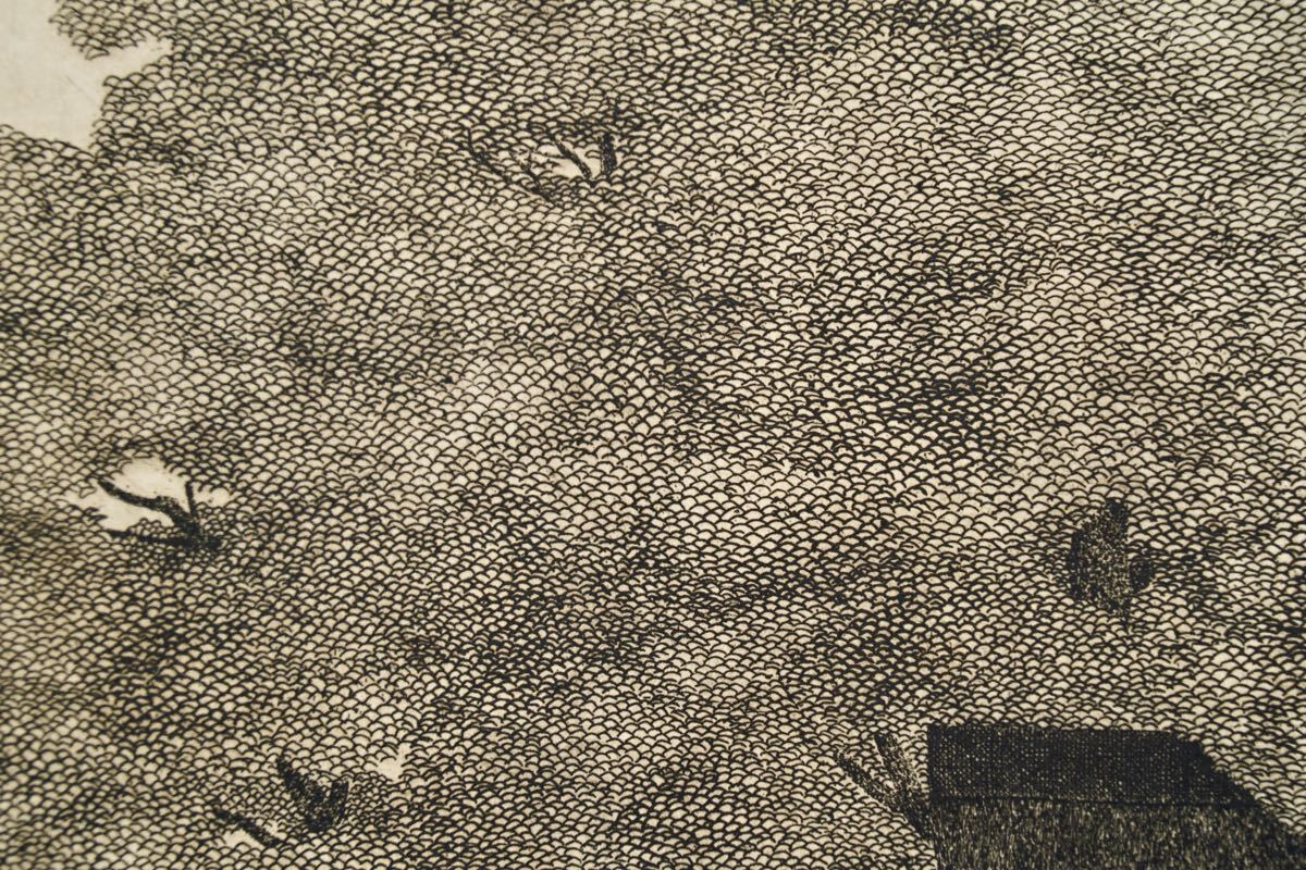 TANAKA RYOHEI "Old house under the trees"