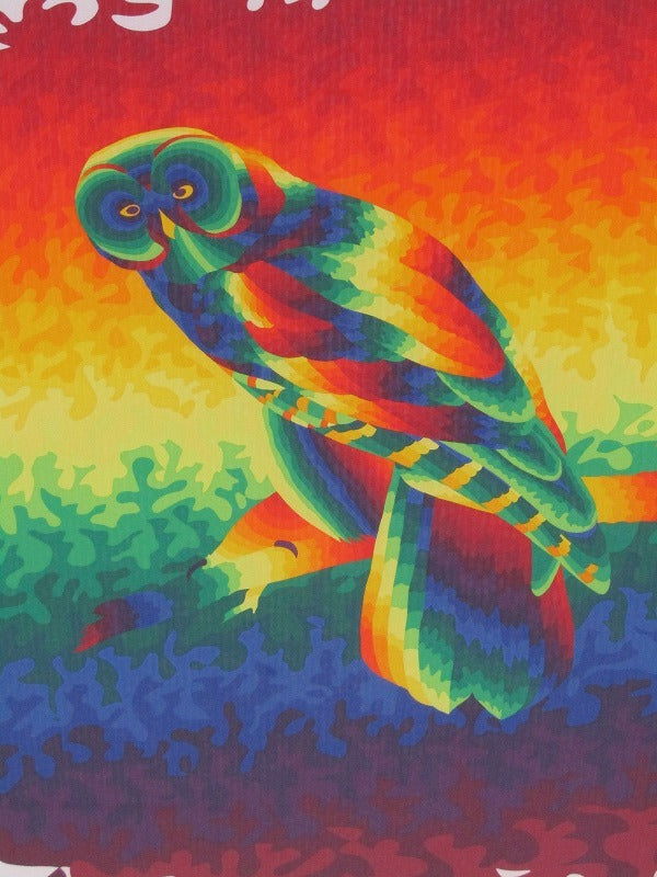 Ay-O "Owl"