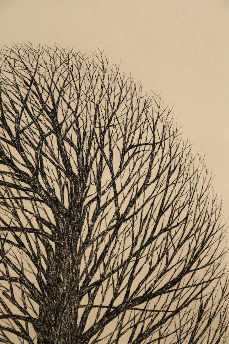 Kimura Shigeru "Ginkgo"