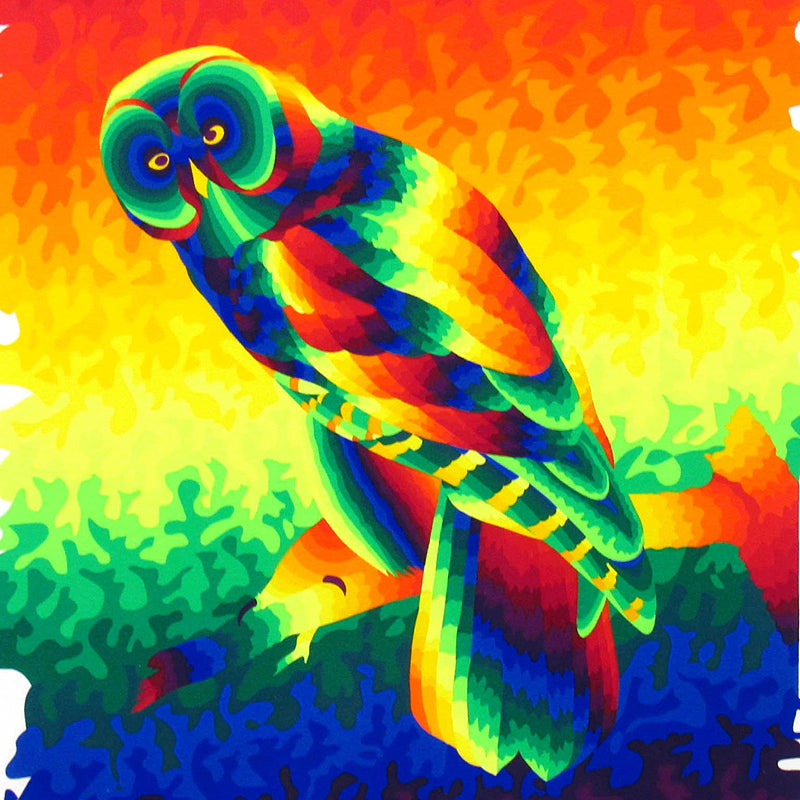 Ay-O "Owl Philosopher"