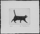 Nakai Takeshi "Sideways Cat"