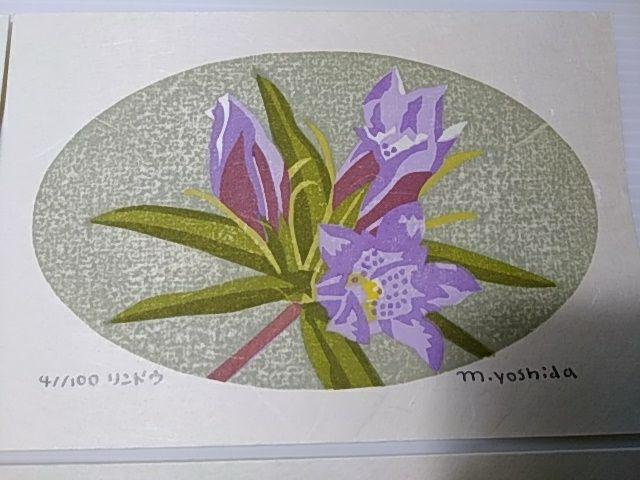 Yoshida Masaki "Flower Series 5 Sets B"