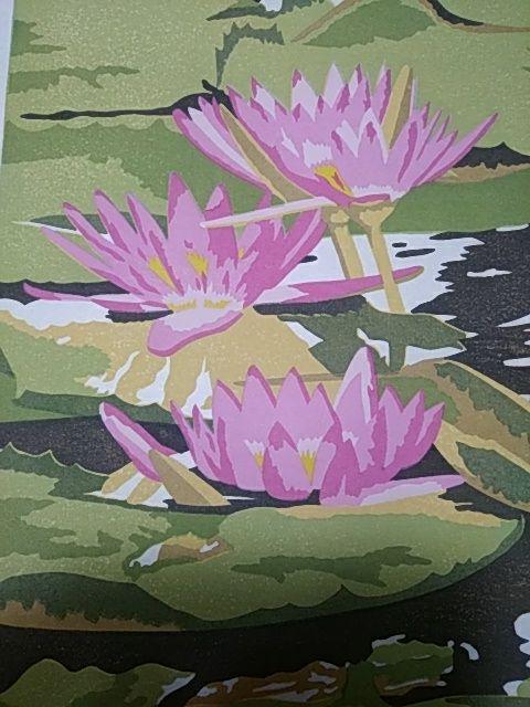 Yoshida Masaki "Pygmy Waterlily"
