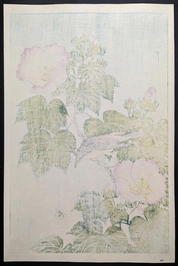 Ohara Koson "Fly-catcher on Rose Mallow Watching"