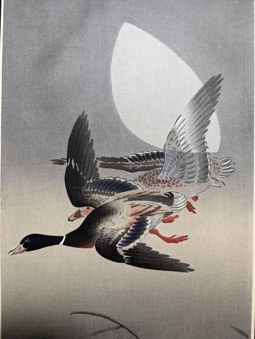 Ohara Koson"Mating Mallard"