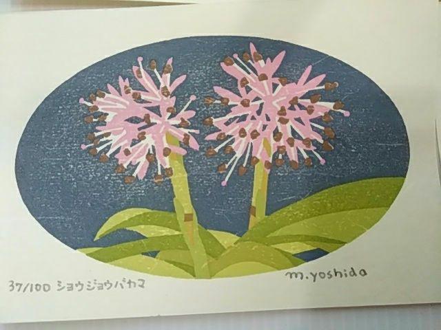 Yoshida Masaki "DAEN Flower Series 4 sets"