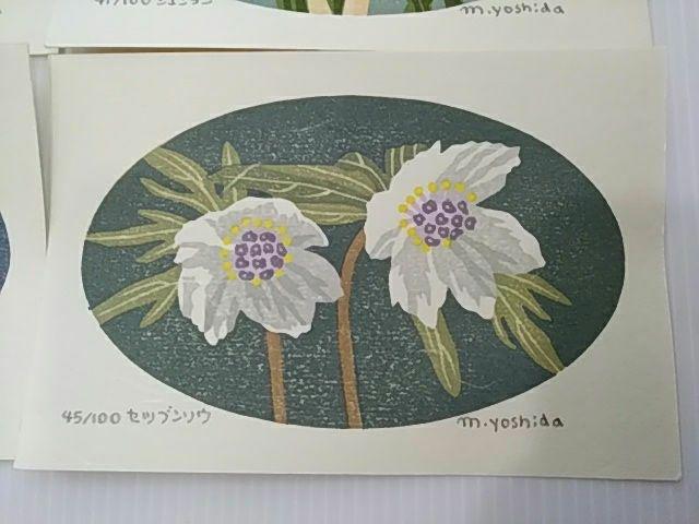 Yoshida Masaki "DAEN Flower Series 4 sets"