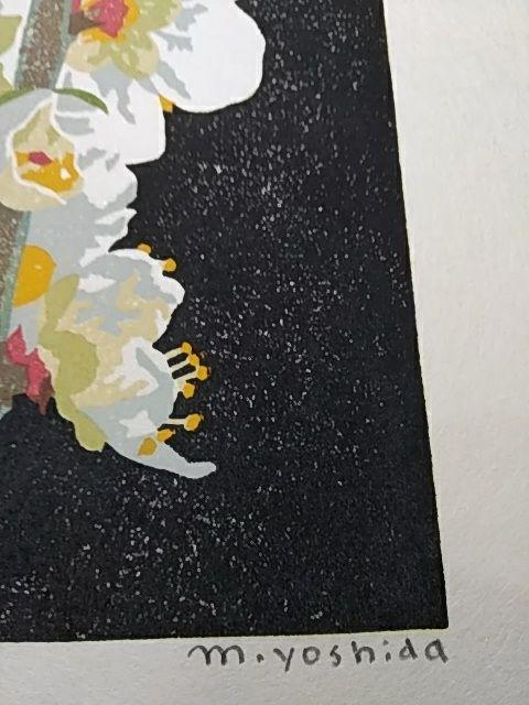 Yoshida Masaki "Hyakka-fu Series white Plum Blossoms"