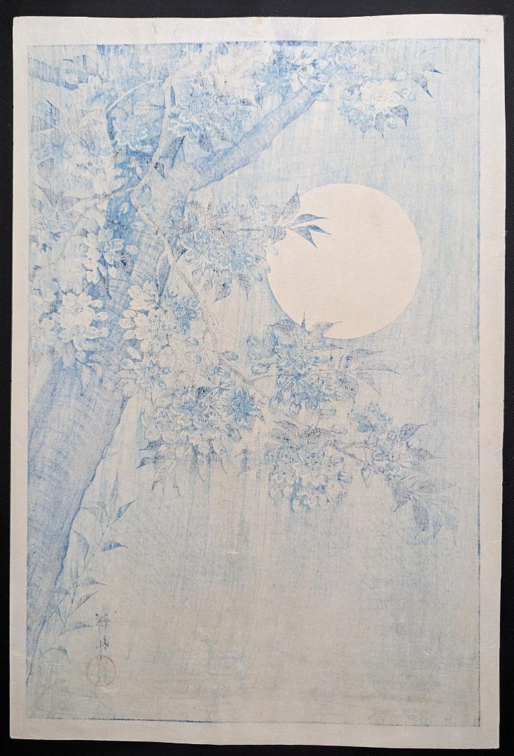 Ohara Koson "Cherry blossoms on a moonlit night"