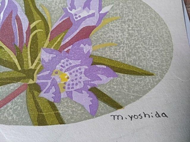 Yoshida Masaki "Flower Series Gentiana scabra"