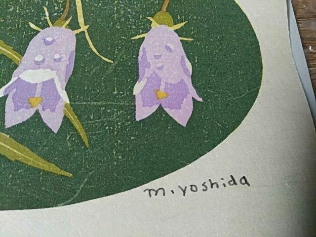 Yoshida Masaki "Flower Series Adenophora Takedae"