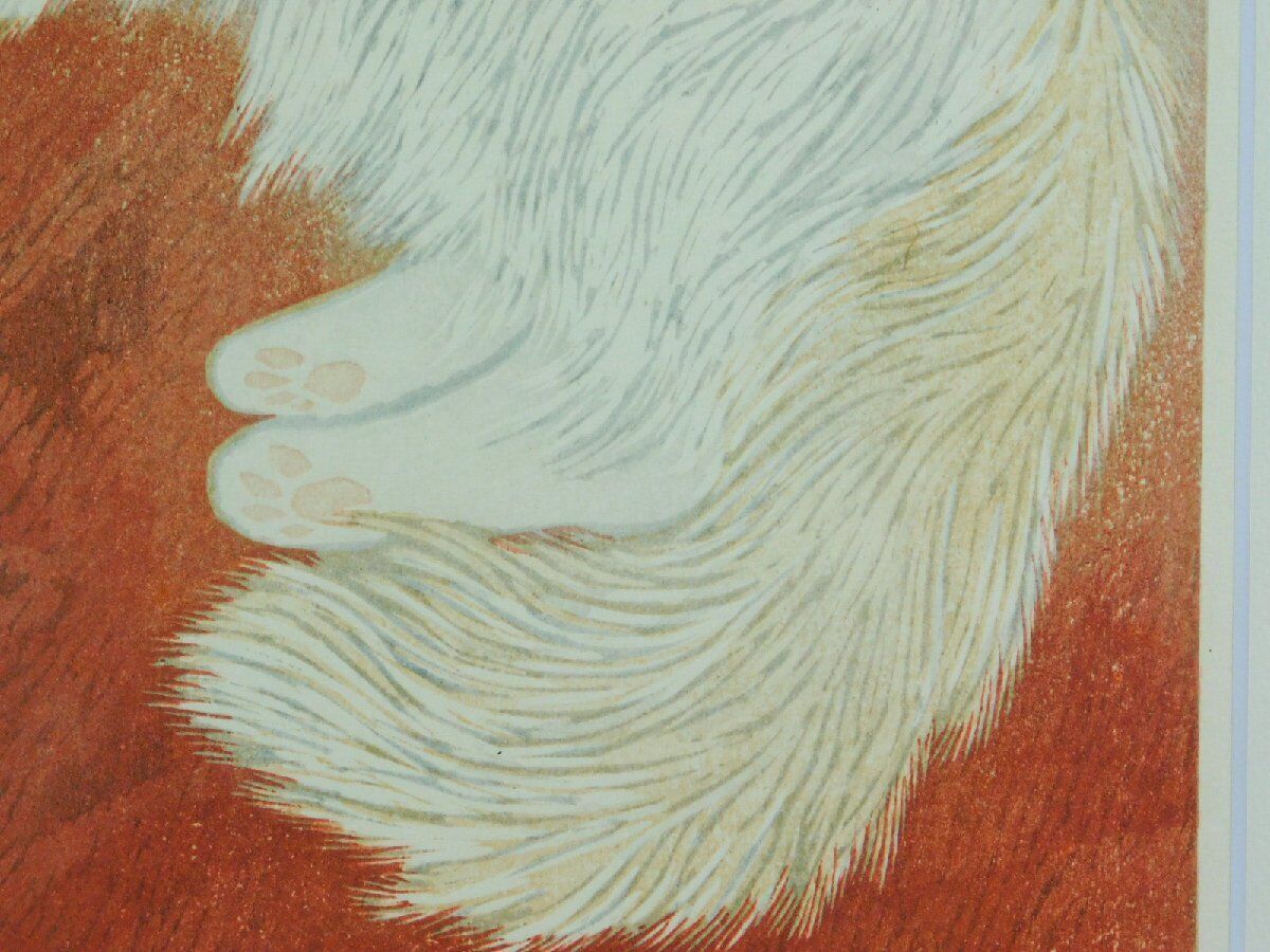 KASAMATSU SHIRO "CAT"