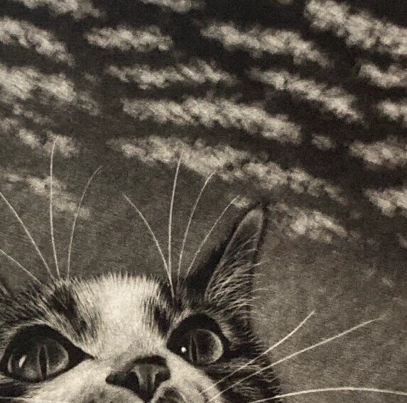 SATO EMI "mackerel sky"