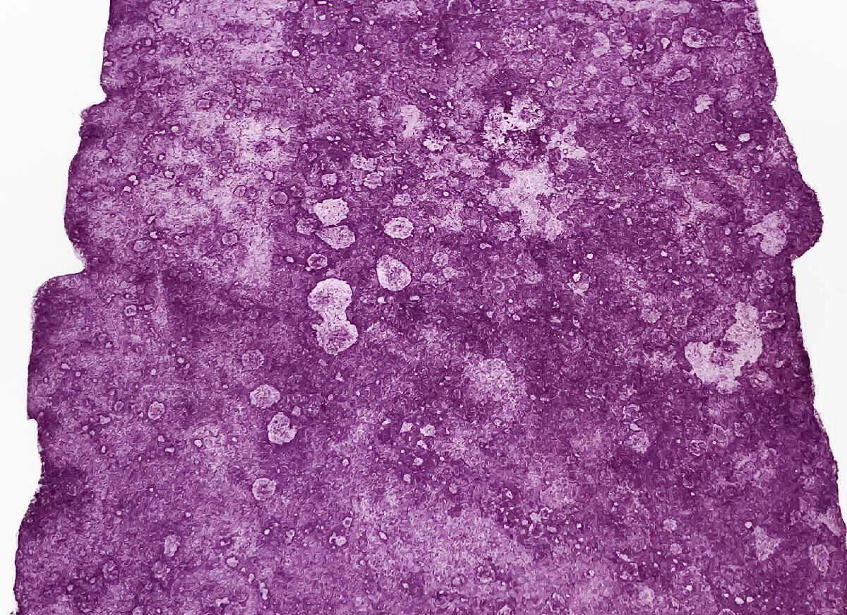 SUGAI KUMI " MASSE VIOLETE "