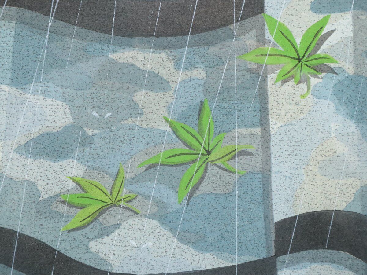 IDO MASAO "sound of rainfall"