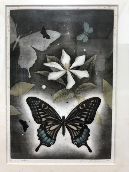 Koichi Sakamoto "butterfly vision"