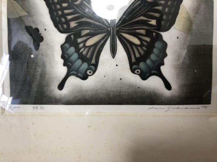Koichi Sakamoto "butterfly vision"