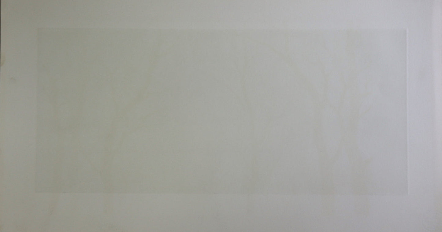 TANAKA RYOHEI “Ine #1”
