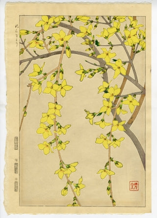 Kawarazaki Shodo "Weeping Forsythia"