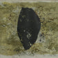 Nakayama Tadashi "Abstract"