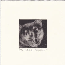 Sato Emi "Doze Of"