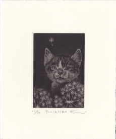 Sato Emi "Dandelion"