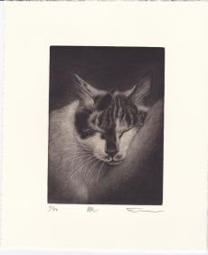 Sato Emi "Sleep"