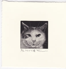 Sato Emi "Almond Eye"