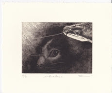 Sato Emi "wherefore"