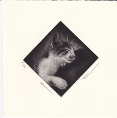 Sato Emi "Dreaminʼ"