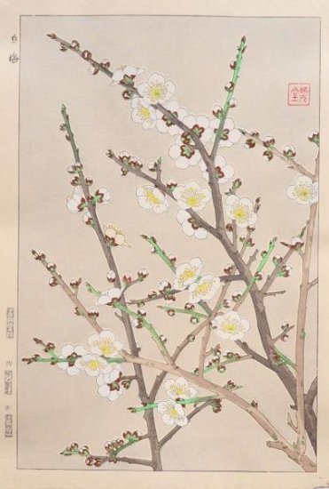 Kawarazaki Shodo "White Plum Blossoms"