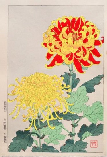 Kawarazaki Shodo "Chrysanthemum "