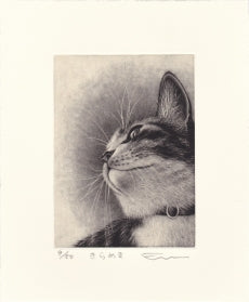 Sato Emi "Brillant"