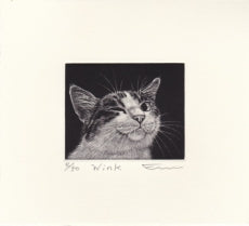 Sato Emi "Wink"