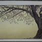 Yoshida Toshi "Cherry Blossoms"