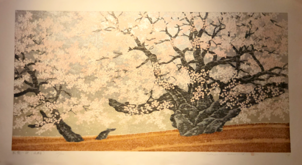 Namiki Hajime "Garyu Cherry Tree (Gifu-Prefecture)"