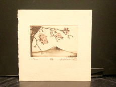 Hiroto Norikane "Cherry Blossoms"