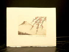 Hiroto Norikane "Cherry Blossoms (D)"